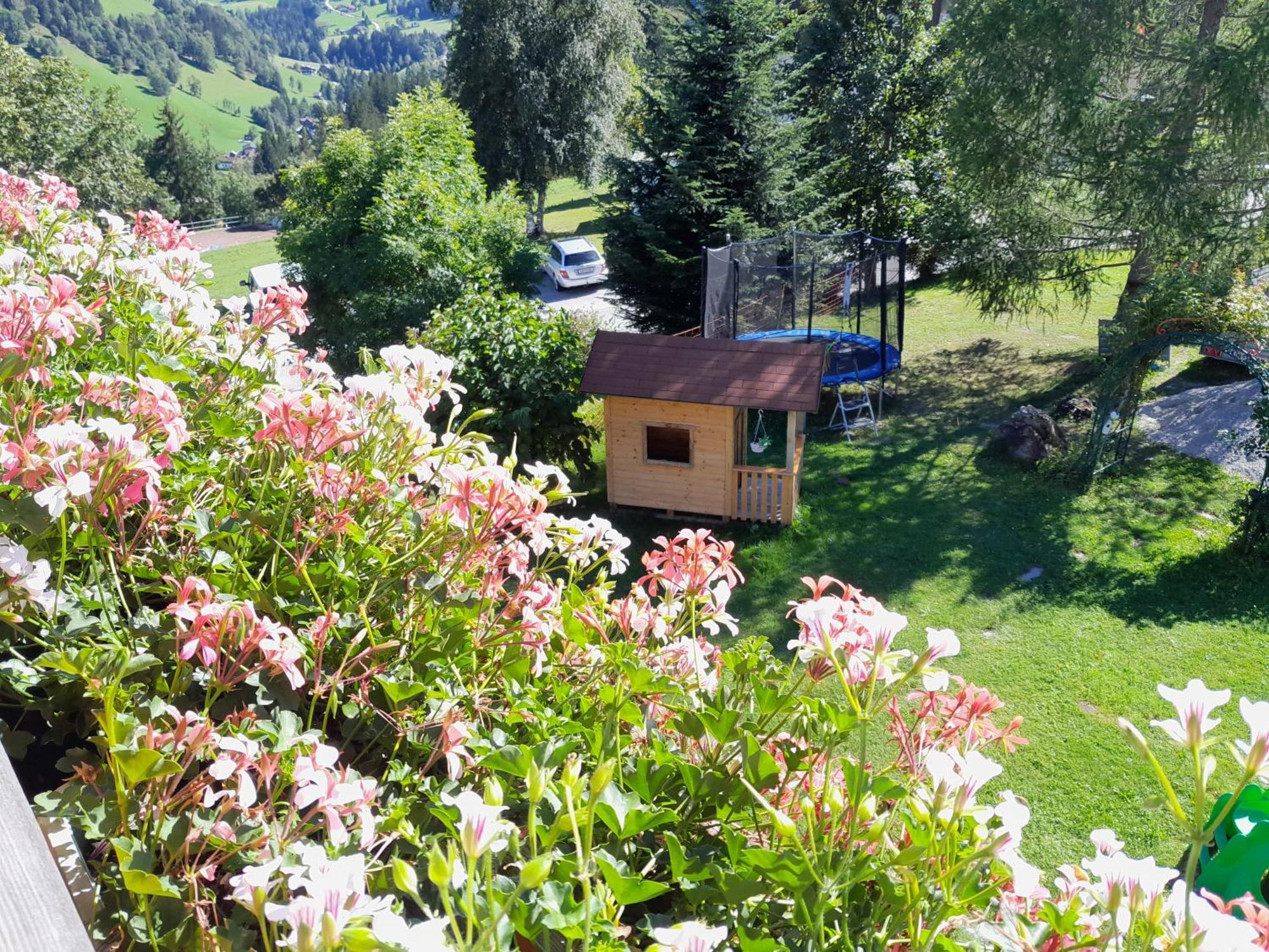 Alpenblick