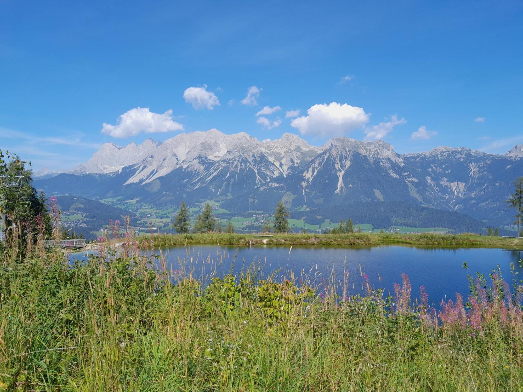 Apartamento Alpenblick