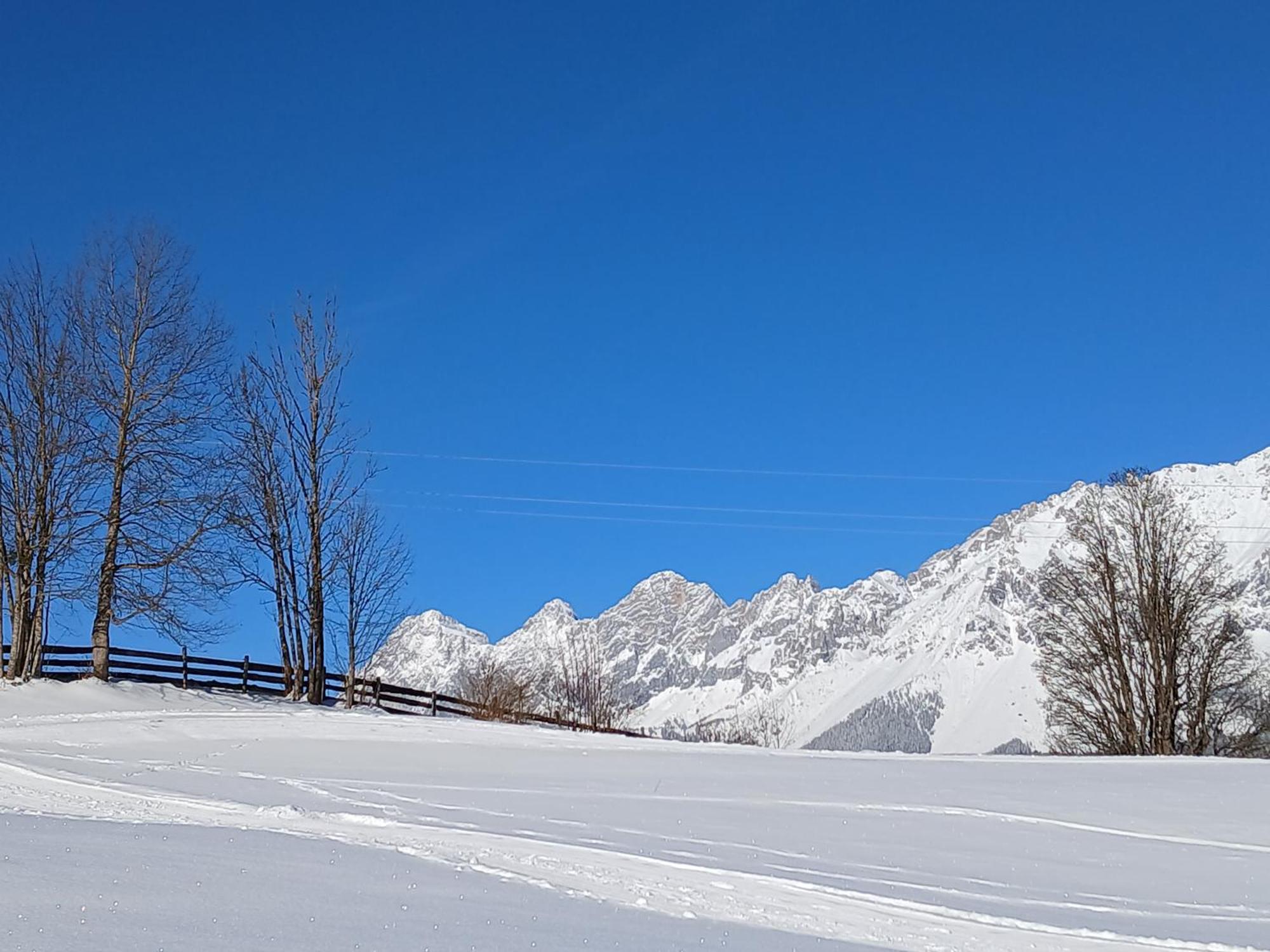 Apartamento Alpenblick *