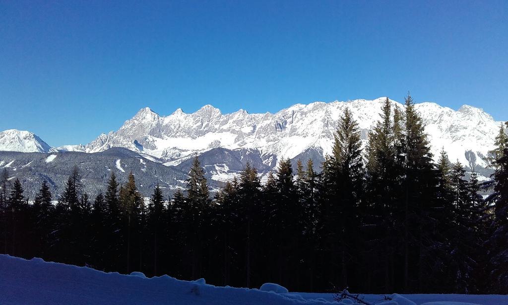 Alpenblick *