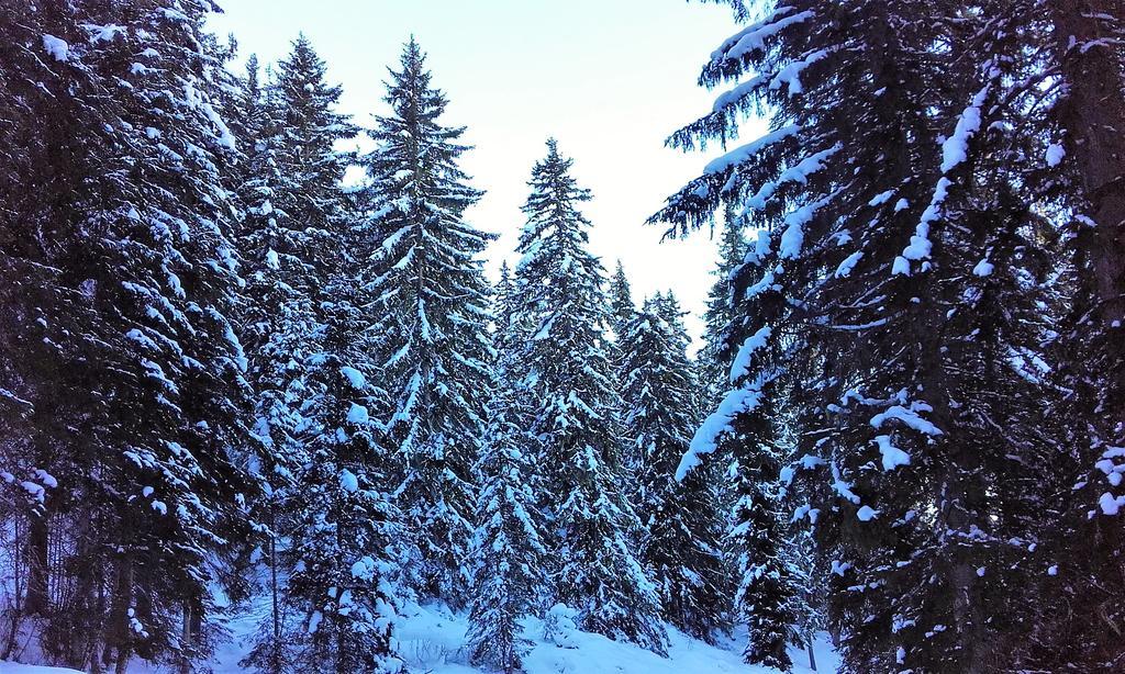 Alpenblick